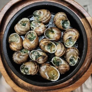 Snails On A Clay Pot